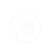 Anti Insecte