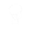 Serviciu Internet